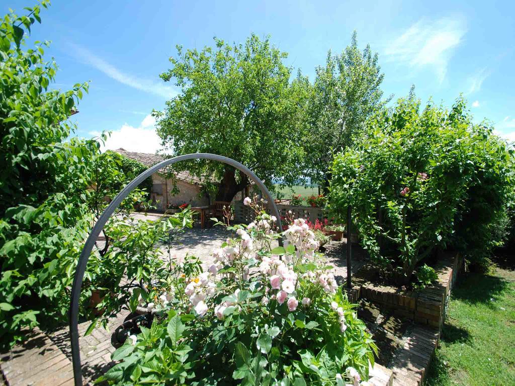Agriturismo Etrusco Murlo Dış mekan fotoğraf
