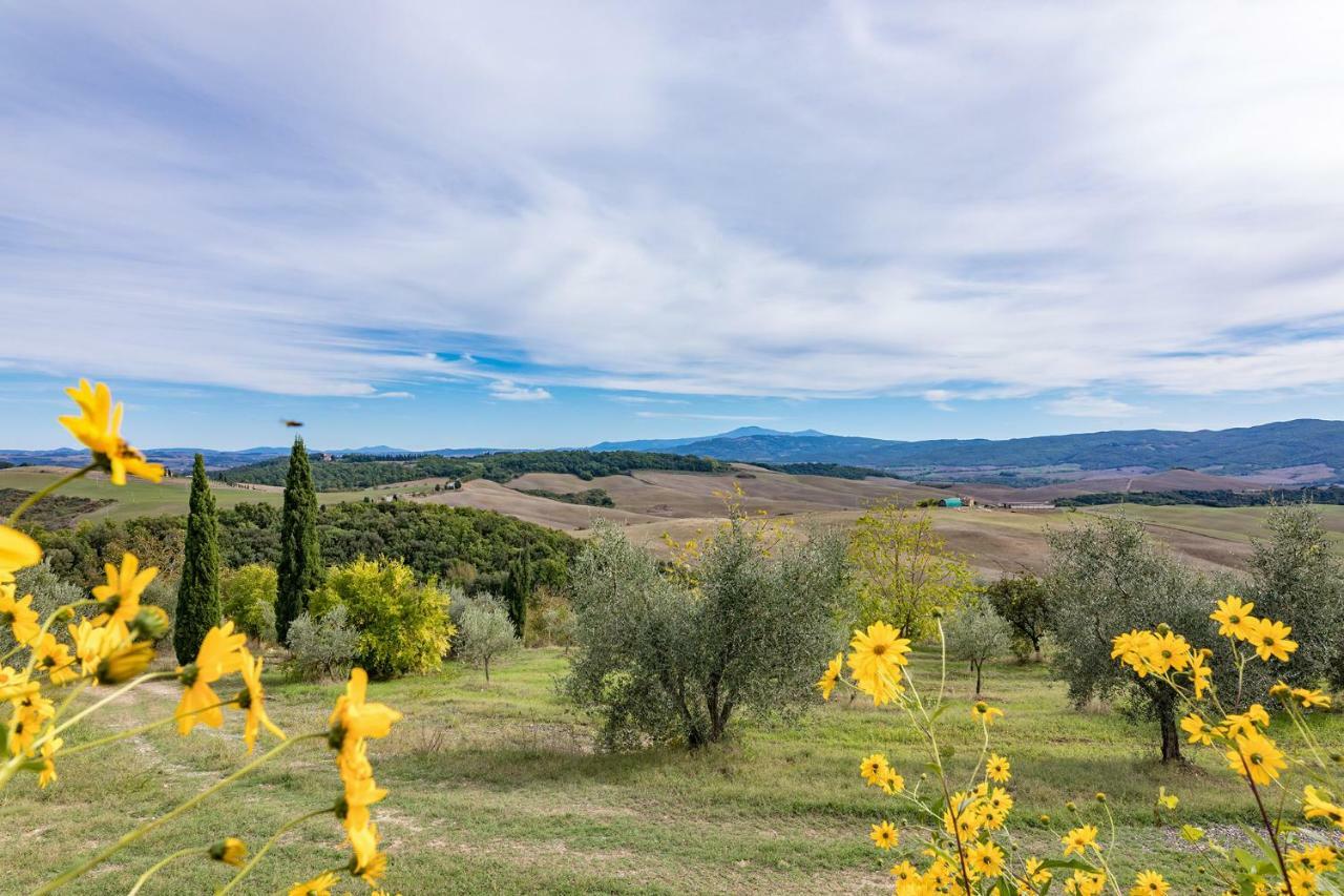 Agriturismo Etrusco Murlo Dış mekan fotoğraf